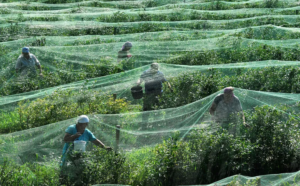 The Day in Photos – July 15, 2018