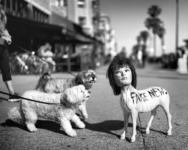 Two dogs, taking an afternoon stroll on the boardwalk with their respective owners, seem quite surprised to stumble upon a provocative creation made from recycled materials by a local street artist. (Photo by Dotan Saguy)