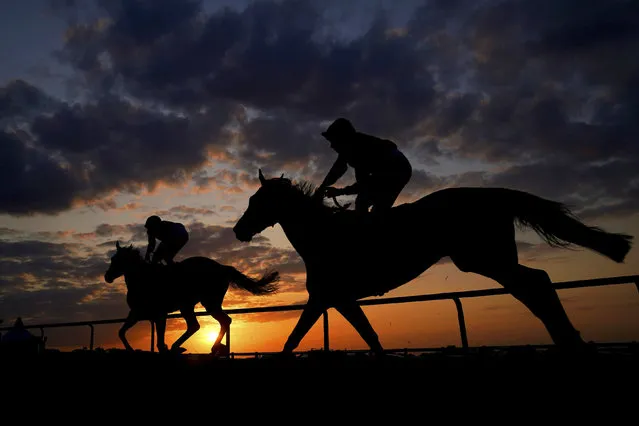 Runners and riders after competing in the Tudor Fillies' Handicap at Sandown Park Racecourse in Esher, Great Britain, Tuesday, May 16, 2023. (Photo by John Walton/PA Wire via AP Photo)