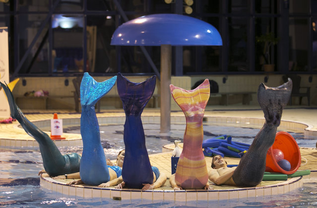 Marielle Chartier Henault (2nd L), a professional mermaid and founder of AquaMermaid, leads an adult class in Montreal, February 18, 2015. (Photo by Christinne Muschi/Reuters)