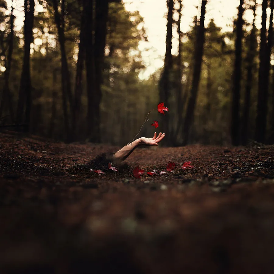Photographers: Joel Robison Part 3