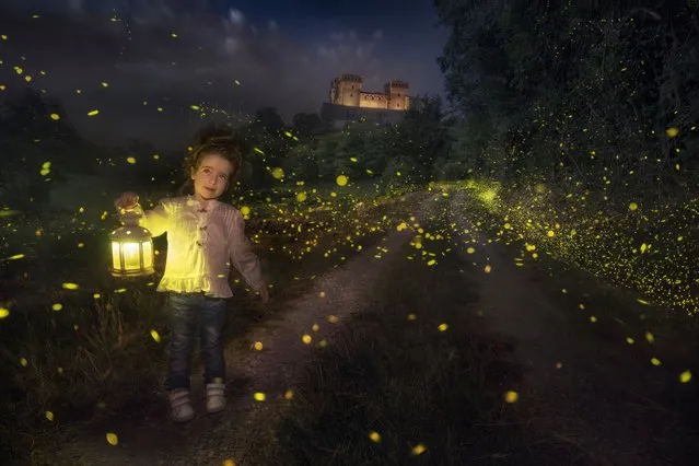 Thousands of fireflies dance around Aurora Ghizzi Panizza, age 4, in the grounds of the 15th-century Castello di Torrechiara in Parma, Italy on July 16, 2022. (Photo by Alberto Ghizzi Panizza/Animal News Agency)