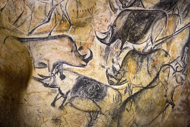A replica of pre-historic animals drawings is seen on a wall during a press visit at the site of the Cavern of Pont-d'Arc project in Vallon Pont d'Arc April 8, 2015. (Photo by Robert Pratta/Reuters)
