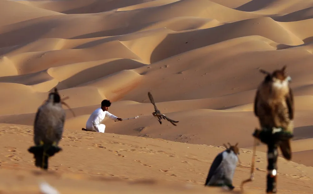 Mazayin Dhafra Camel Festival