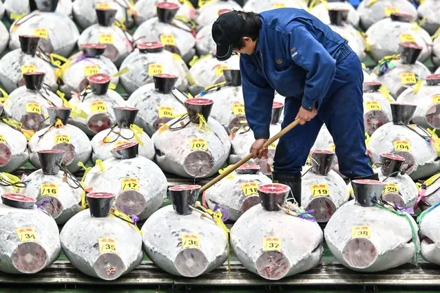 A worker cleans around frozen tuna on display as wholesale sellers and buyers attend the first tuna auction of the New Year at Toyosu fish market in Tokyo on January 5, 2024. (Photo by Richard A. Brooks/AFP Photo)