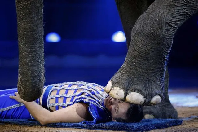 Joy Gartner performs with an elephant during the International Circus Festival of Monte Carlo in Monaco, on January 19, 2014. (Photo by Eric Gaillard/Reuters)