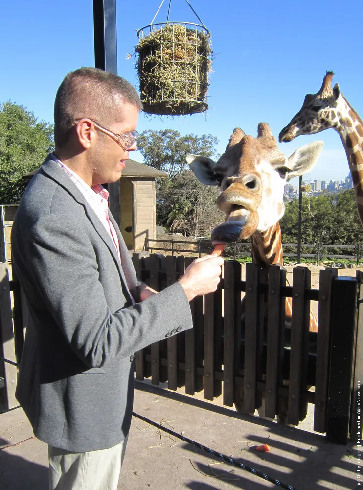Perez Hilton Visits Sydney's Taronga Zoo