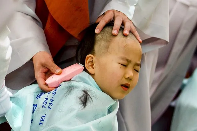 A Buddhist monk shaves the head of a novice monk during an inauguration ceremony at Jogye temple in Seoul, May 11, 2015. (Photo by Thomas Peter/Reuters)