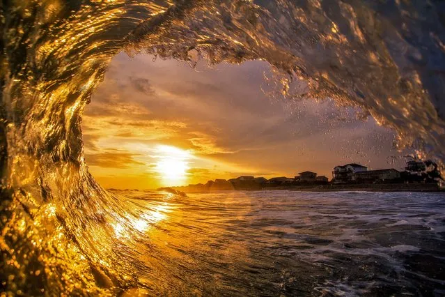Smooth glass-like waves arrive gently into the shore, reflecting the setting sun's stunning golden rays. (Photo by Brad Styron/Solent News & Photo Agency)