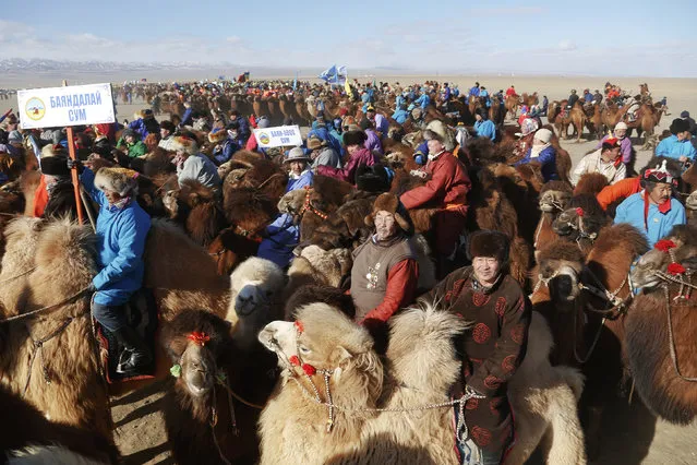 People wearing traditional costumes wait for a parade on the back of camels during “Temeenii bayar”, the Camel Festival, in Dalanzadgad, Umnugobi aimag, Mongolia, March 6, 2016. (Photo by B. Rentsendorj/Reuters)