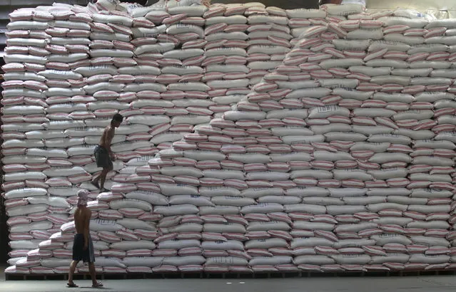 A worker walks up a pile of rice at a warehouse of the Philippines National Food Authority in Manila May 12, 2015. The state grains agency continues stockpiling ahead of the lean harvest season beginning July, aiming to keep local prices of the staple food affordable to poor Filipinos while bracing for the impact of the dry season on rice harvest. A closely watched forecast by Japan on Tuesday confirmed the El Nino weather phenomenon's return this year. (Photo by Romeo Ranoco/Reuters)