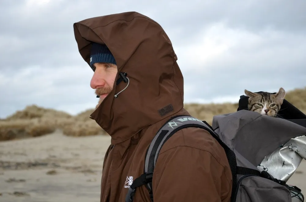 Kitten Who Likes to Travel in a Backpack