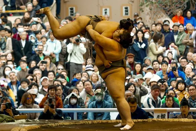 Sumo wrestlers perform a show fight during the “Honozumo” ceremonial sumo tournament at the Yasukuni Shrine in Tokyo April 3, 2015. (Photo by Thomas Peter/Reuters)