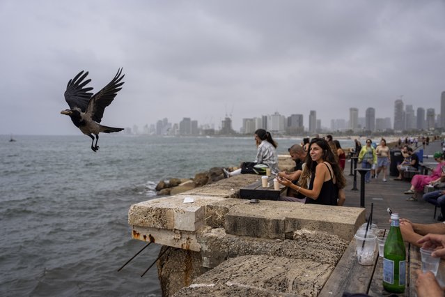 People sit in a bar overlooking the Mediterranean Sea at the old port of Jaffa, a mixed Jewish-Arab part of Tel Aviv, Israel, Friday, April 26, 2024. (Photo by Oded Balilty/AP Photo)