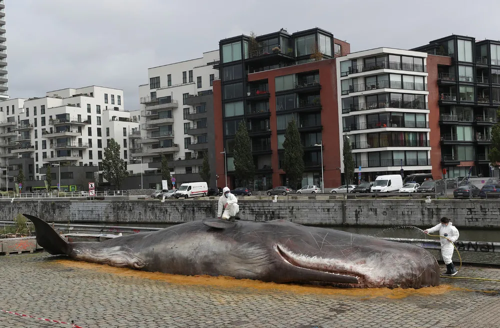 The Day in Photos – October 6, 2019