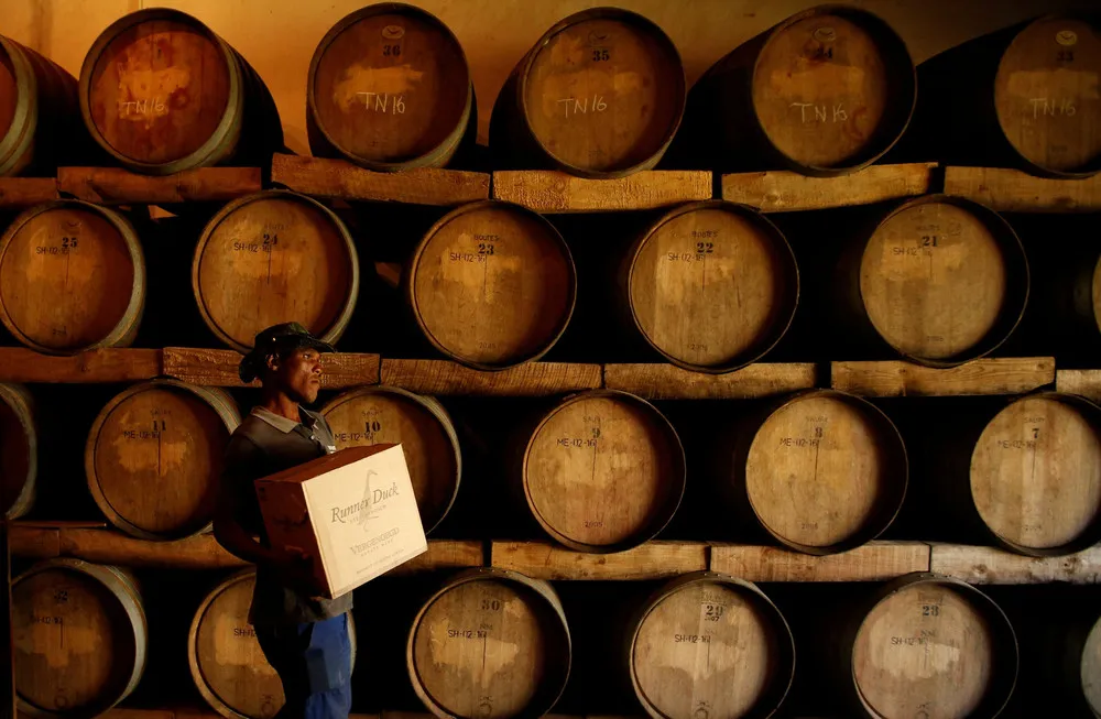 Quack Squad on the Hunt