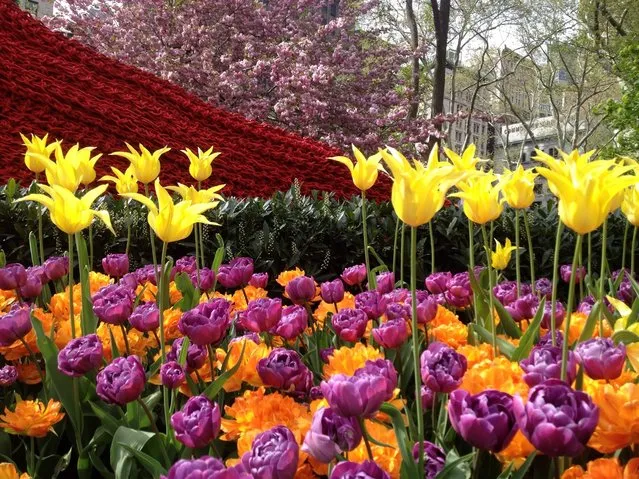 Red, Yellow, and Blue – A Cool Art Installation in Madison Square Park