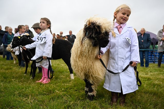 Young Sheep Handlers are judged in the main show field at the Melplash Agricultural Society Show, on August 22, 2024 in West Bay, Dorset. The Melplash Agricultural Society Show, held in West Dorset, is a prominent agricultural exhibition in the South West region. Besides providing a platform for trade, visitors can also witness animal judging and gain valuable insights into food production and farming practices. (Photo by Finnbarr Webster/Getty Images)