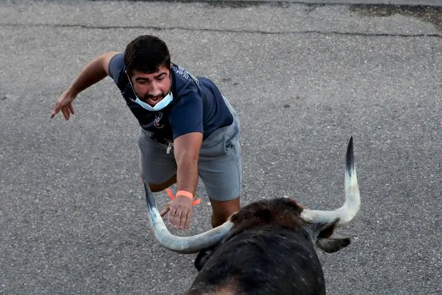 A reveller wearing a protective mask calls a steer during the first running-of-the-bull festival since the coronavirus disease (COVID-19) pandemic began in Villaseca de la Sagra, central Spain, September 5, 2021. (Photo by Sergio Perez/Reuters)