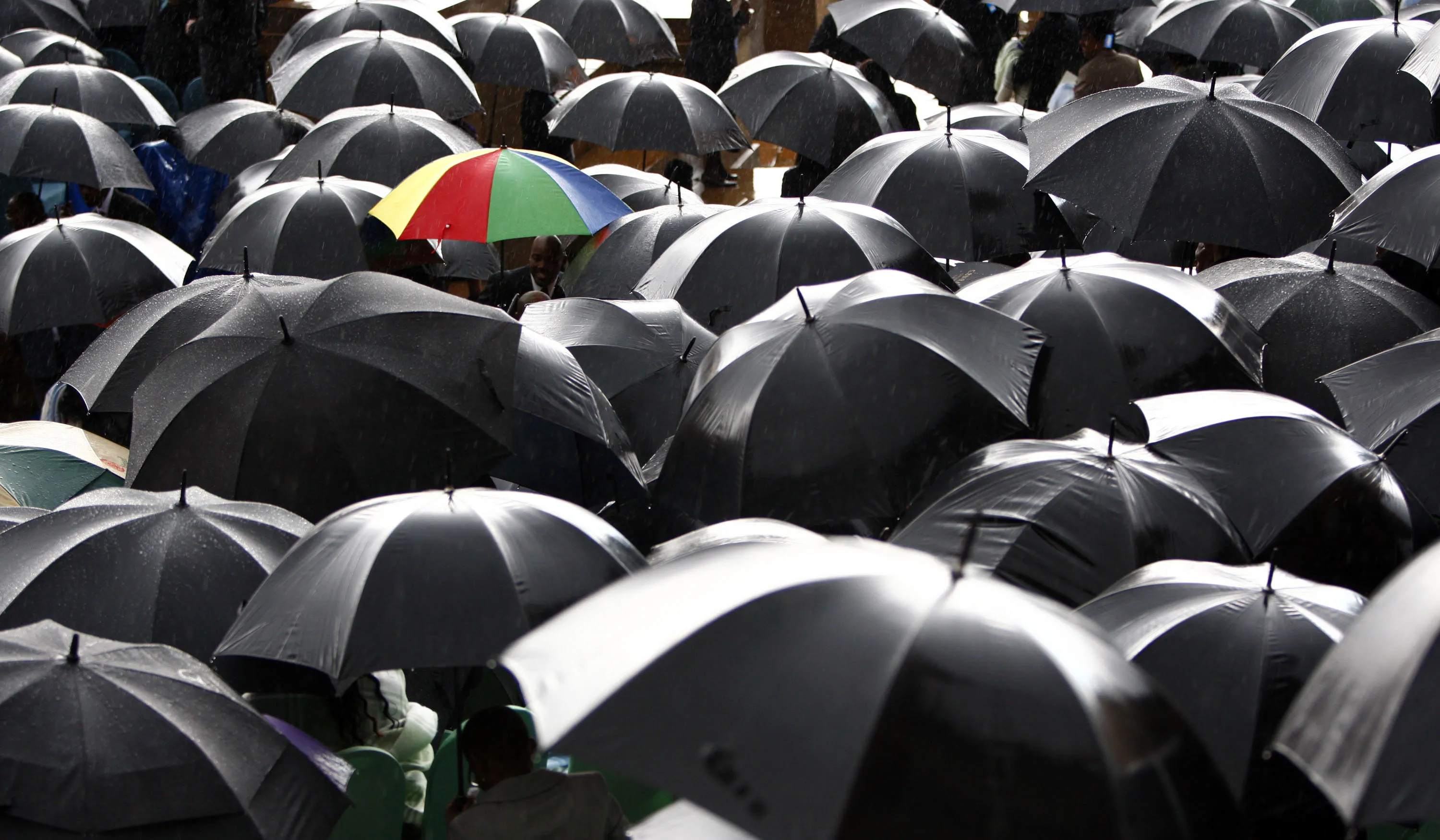 Среди серых еще не одетых деревьев. Толпа с зонтами. Много людей с зонтами. Толпа людей с зонтиками. Толпа под зонтами.