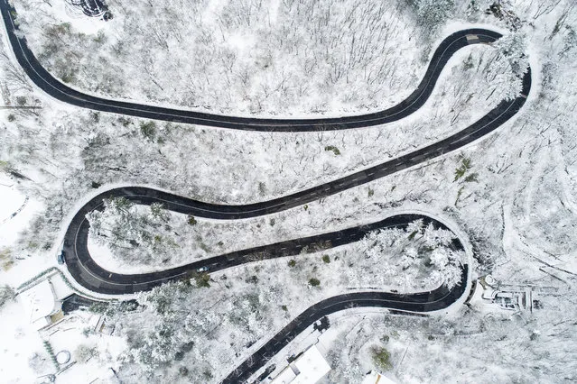 A picture taken with a drone shows cars in a snow-covered forest near Pecs, Hungary, 24 March 2020. (Photo by Tamas Soki/EPA/EFE)