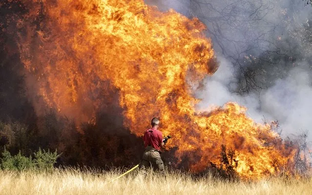Firefighters tackle a grass fire at Hollow Ponds in Leytonstone, east London afternoon on August 11, 2022. (Photo by Jeff Moore/The Times)