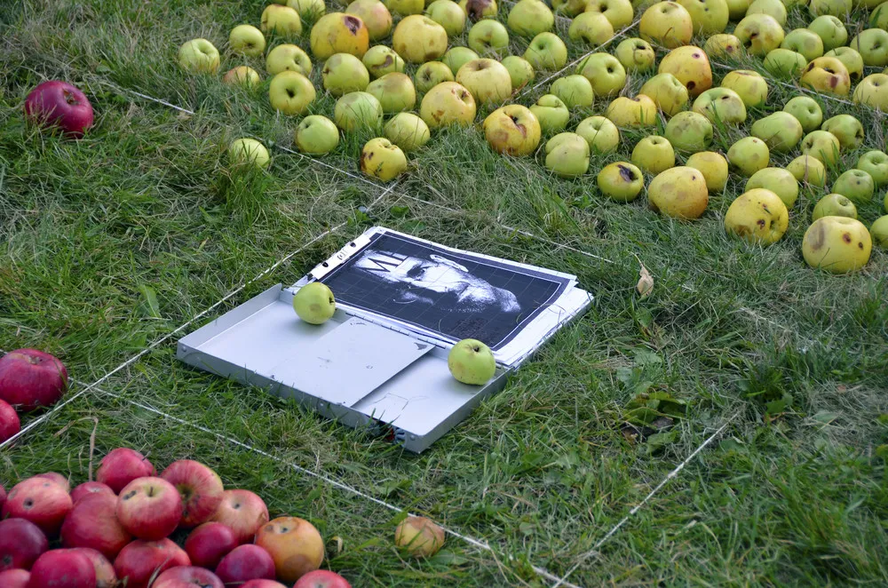Portrait of Steve Jobs Made with Apples