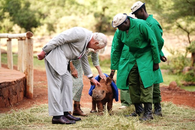 King Charles III and Queen Camilla view a baby rhino during a visit to Sheldrick Wildlife Trust Elephant Orphanage in Nairobi National Park, to learn about the trust's work in the conservation and preservation of wildlife and protected areas across Kenya, on day two of the state visit to Kenya on November 1, 2023 in Nairobi, Kenya. King Charles III and Queen Camilla are visiting Kenya for four days at the invitation of Kenyan President William Ruto, to celebrate the relationship between the two countries. The visit comes as Kenya prepares to commemorate 60 years of independence. (Photo by Tim Rooke/Pool/Samir Hussein/WireImage)