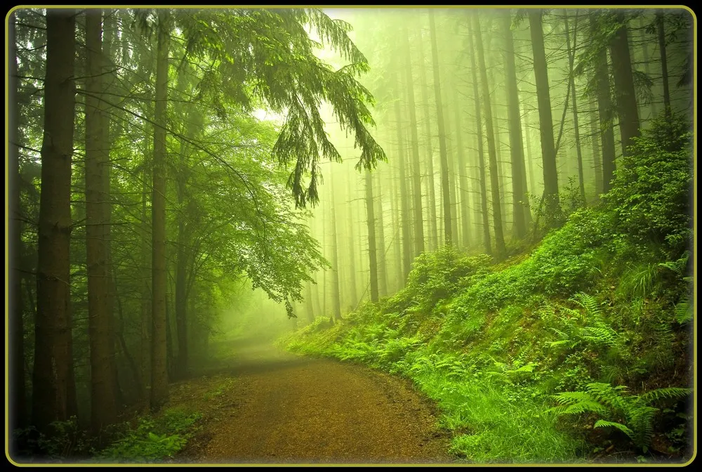 Found on Flickr: Photo Art by Norbert