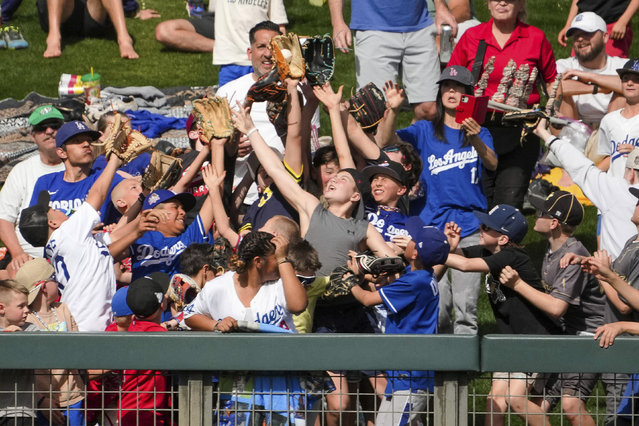 A fan catches a baseball thrown to them by Los Angeles Dodgers outfielder Tommy Edman (25) during a spring training baseball game against the Colorado Rockies, Thursday, February 27, 2025, in Scottsdale, Ariz. (Photo by Darryl Webb/AP Photo)