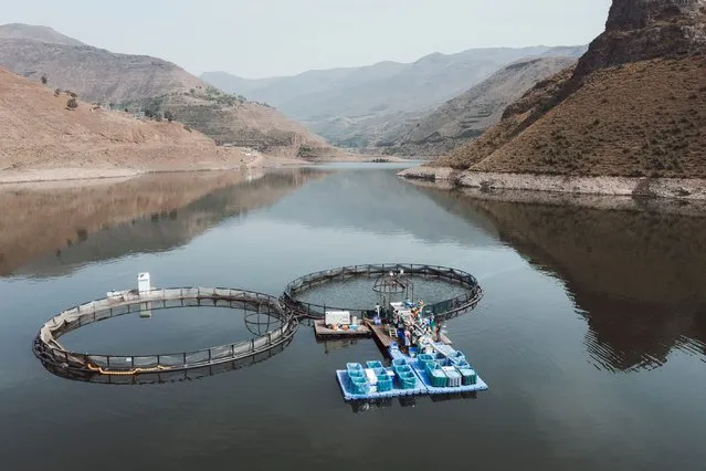 This photograph taken on October 11, 2022, shows an aerial view of a harvesting site of the Katse Fish Farms on the Malibamatso basin in Lejone. The basin is formed by the Katse dam on the Malibamatso river. At 2,100 meters above sea level, not a sound breaks the tranquility of the early morning, the river meanders motionless between the round mountains of Lesotho. In the distance, trout breeders have been hard at work for a few hours already: it's harvest day. Lesotho, with its abundant rivers, has become in less than 20 years one of the region's leading producers of freshwater fish, with delicate and sought-after flesh. (Photo by Marco Longari/AFP Photo)