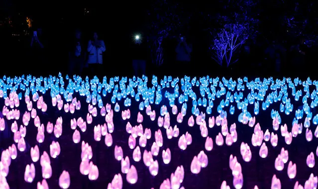 Visitors walk through “Flower Power” which is part of the exhibit “Enchanted: Forest of Light” at Descanso Gardens in La Canada Flintridge, California, U.S., November 21, 2017. (Photo by Mario Anzuoni/Reuters)