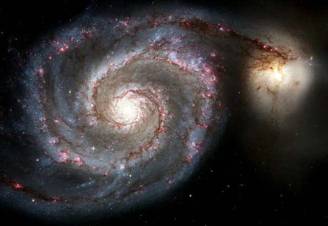 A view of the Whirlpool Galaxy's curving arms where newborn stars reside and its yellowish central core that serves as home for older stars. (Photo by Reuters/NASA)