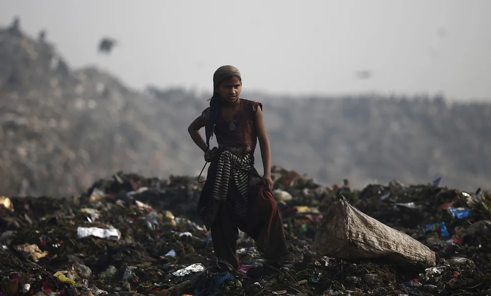 Garbage Pickers of India