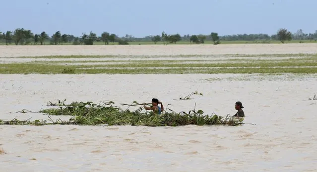 Farmers try to remove water lilies swept by Typhoon Koppu on a flooded rice field in Sta Rosa, Nueva Ecija in northern Philippines October 19, 2015. (Photo by Erik De Castro/Reuters)