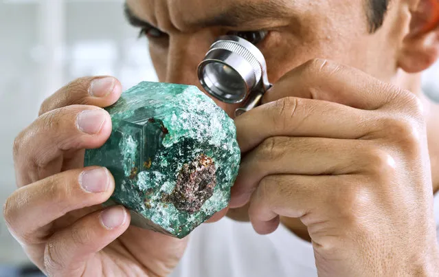 A worker looks at an emerald at the workshop of Muzo Emerald Company in Bogota, on October 16, 2015. Colombian emeralds are considered to be the most beautiful in the world, but the same as "blood diamonds" of Africa, their image was saddened by decades of violence, a reputation some are willing to change. (Photo by Luis Acosta/AFP Photo)