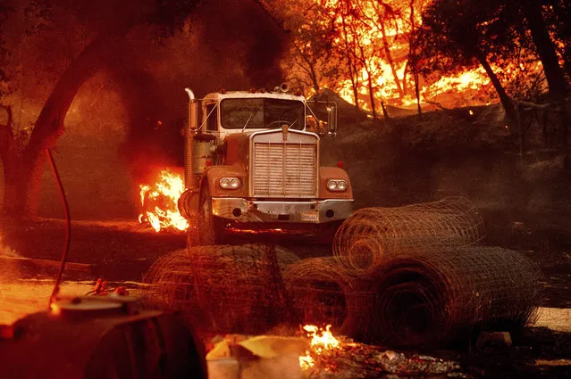 Flames from the Glass Fire burn a truck in a Calistoga, Calif., vineyard Thursday, October 1, 2020. (Photo by Noah Berger/AP Photo)