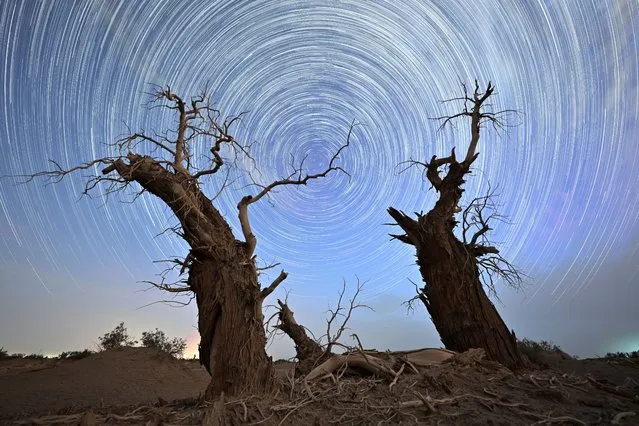 Long exposure of starlight trails above the dead Euphrates Poplar trees at the desert area on June 21, 2022 in Luntai County, Bayingolin Mongol Autonomous Prefecture, Xinjiang Uygur Autonomous Region of China. (Photo by Que Hure/VCG via Getty Images)