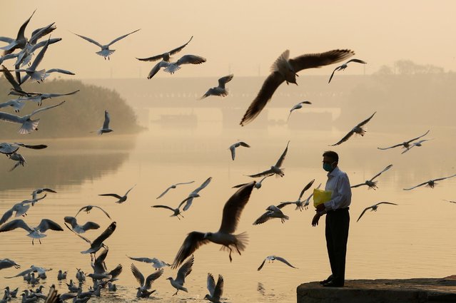 A man feeds seagulls as he stands on the banks of Yamuna river, on a smoggy morning in New Delhi, India October 24, 2020. (Photo by Adnan Abidi/Reuters)