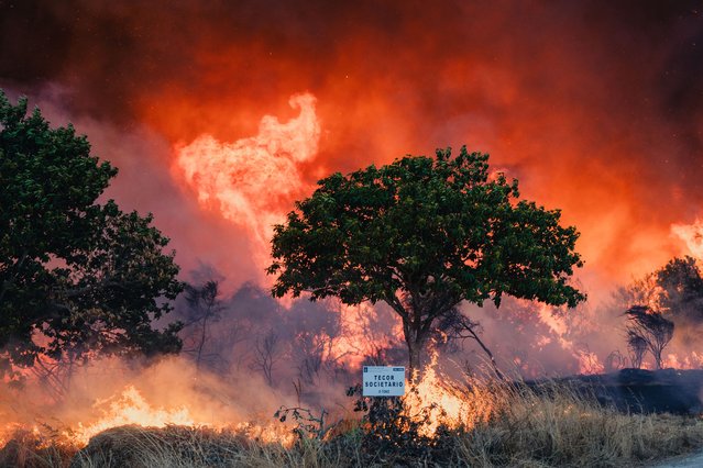 Portuguese firefighters and Spanish military personnel work together to battle a forest fire in the parish of Bouses, Oimbra, Ourense, Galicia, Spain on August 18, 2025. (Photo by Pedro Pascual/Anadolu Agency)