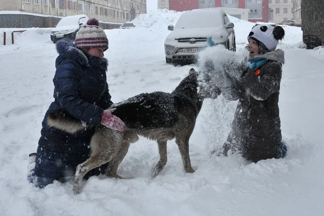 Children play with a dog during a snowfall in Norilsk, Russia on May 17, 2018. (Photo by Denis Kozhevnikov/TASS)