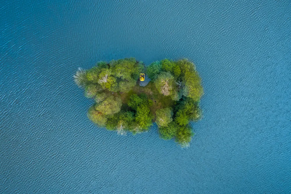 Life in Another Light Photo Contest 2020 Winners