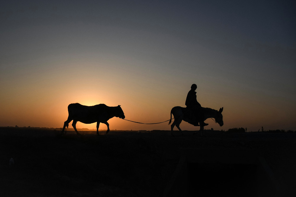 Some Photos: Silhouettes