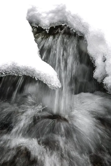 Snow melts into the South Yuba River near Big Bend, California, December 4, 2015. (Photo by Max Whittaker/Reuters)