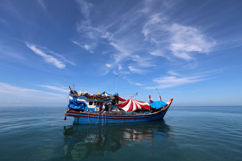 Pictures of the Year 2024, Part 200/240