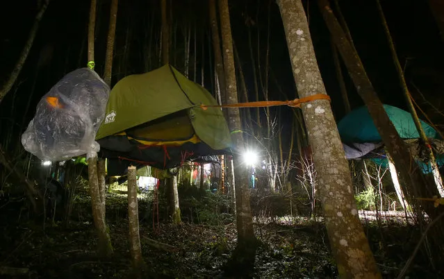 Belarussian tourists sleep in tents installed on the trees as they take part in “Search and rescue operations – 2016”, a three-day competition, near the village of Priselki, Belarus, November 25, 2016. Photo taken November 25, 2016. (Photo by Vasily Fedosenko/Reuters)