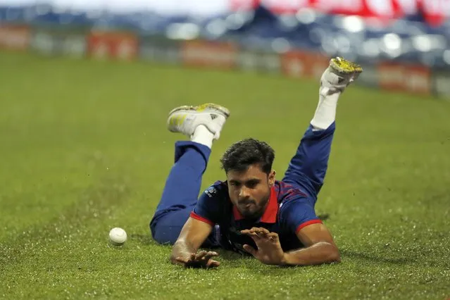 Gulshan Jha of Nepal saves a boundary during the Asia Cup Group A match between India and Nepal at Pallekele International Cricket Stadium on September 4, 2023 in Kandy, Sri Lanka. (Photo by Surjeet Yadav/Getty Images)