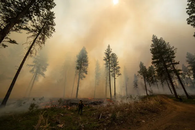 Firefighters conduct a prescribed burn in the Wallowa-Whitman National Forest, Oregon, U.S., May 14, 2021. (Photo by Ilie Mitaru/Reuters)