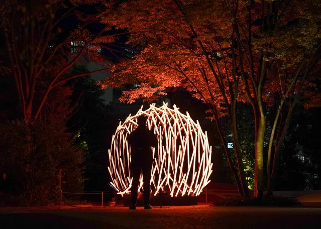 Light art “Nest”, by Vikas Patil & Santosh Gujar, India, is displayed on November 13, 2023 in Tokyo, Japan. (Photo by Christopher Jue/Getty Images)
