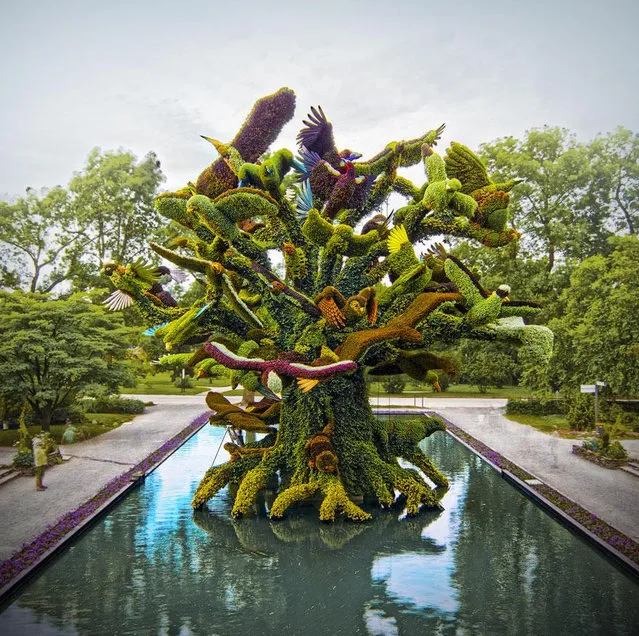 Monumental Plant Sculptures At The 2013 Mosaicultures Internationales De Montreal